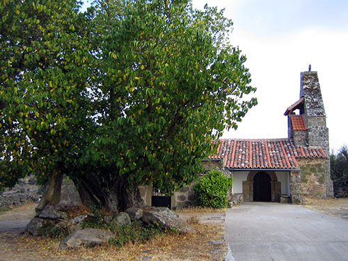 Moral frente a la iglesia de Cozcurrita