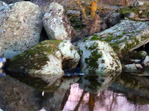 5riveramolinosganamesayago