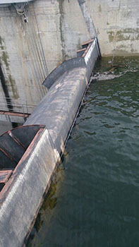 presa-almendra-100-4