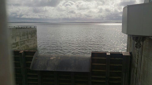 presa-almendra-100-5