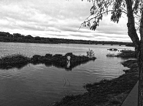 Cola embalse almendra salce de sayago