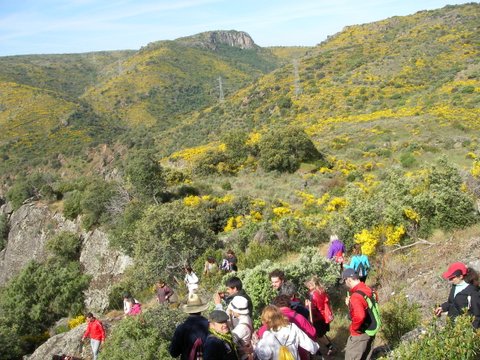 SANYO DIGITAL CAMERA