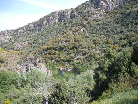 SANYO DIGITAL CAMERA