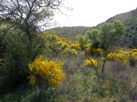 SANYO DIGITAL CAMERA