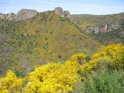 SANYO DIGITAL CAMERA