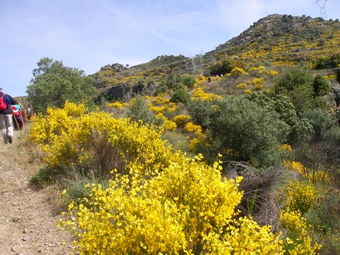 SANYO DIGITAL CAMERA