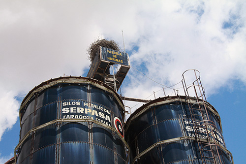 almeida_fabricadeharinas