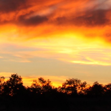 Anocheceres de verano en Sayago