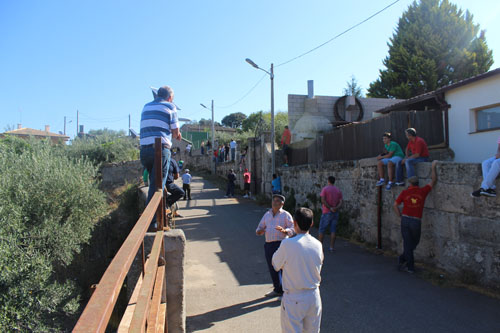 El público espera la bajada de los novillos en la cuesta de San Albín