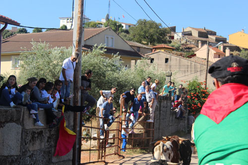 El público contemplando el paso de los astados