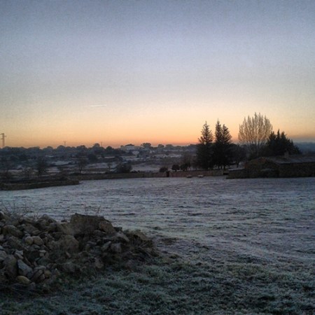 helada sobre de salce de sayago