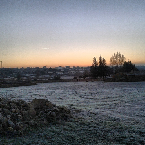 helada sobre de salce de sayago