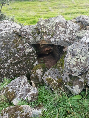 20141102_100104.jpg image