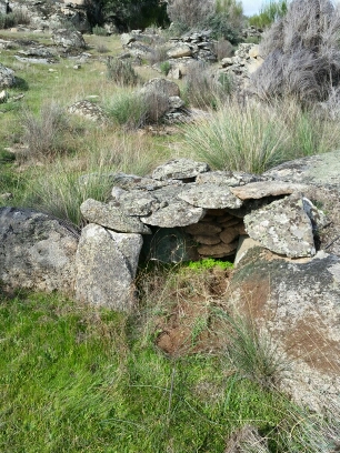 20141102_134115.jpg image