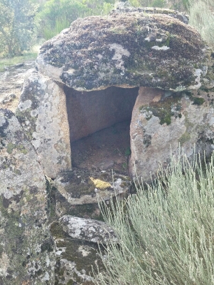 20141102_134446.jpg image