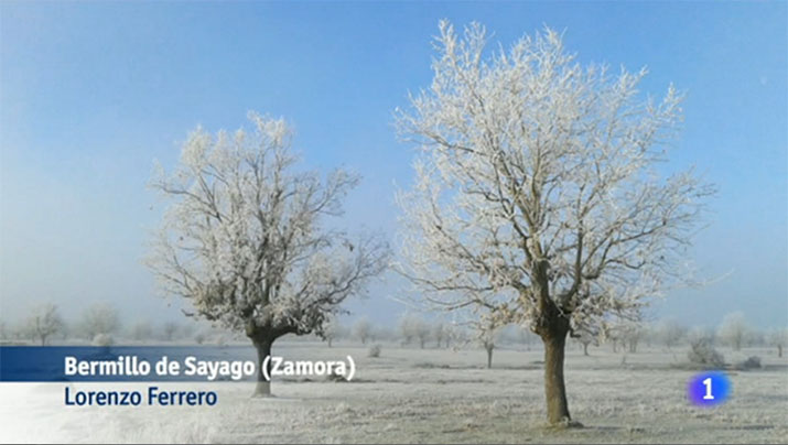 bermillo_telediario_10012015