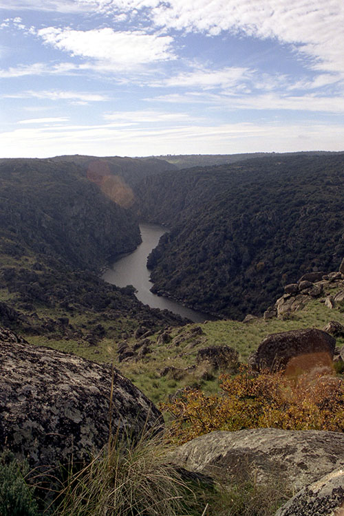 fariza_anaisabelfdez_arribes