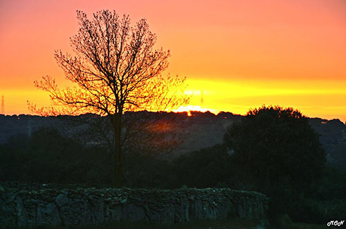 moralina_amanecer_ramontarrago2