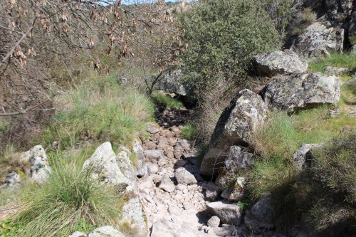 molinos de cozcurrita zamora
