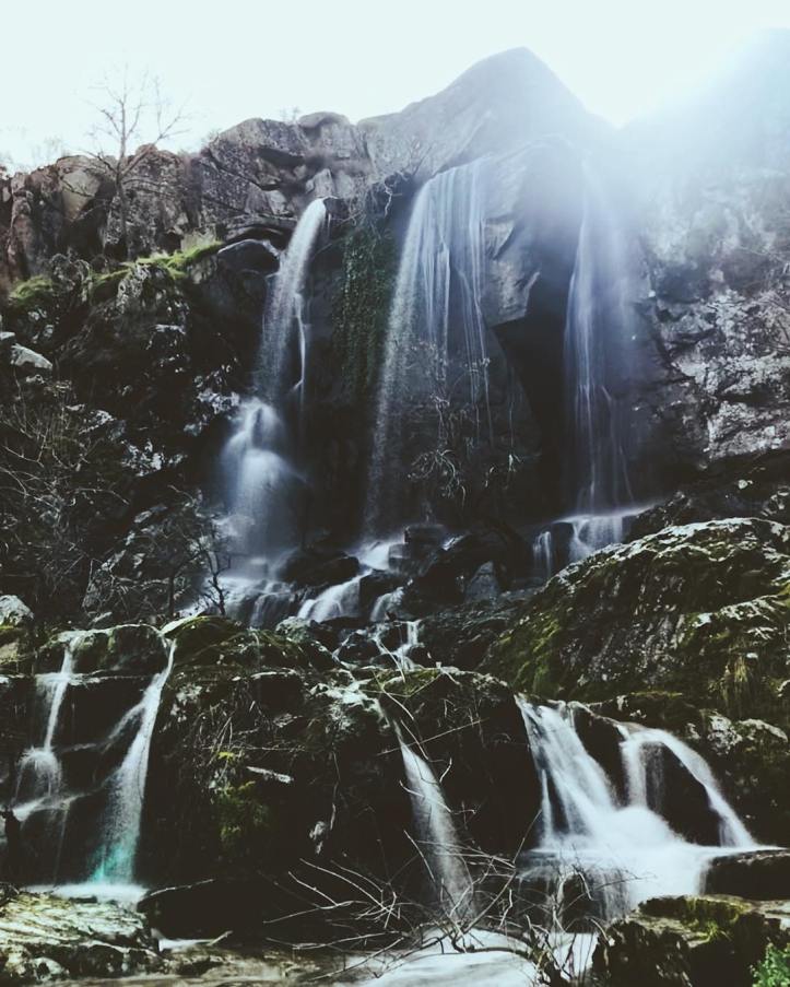 29094143_461445650940555_5669663233686896640_n