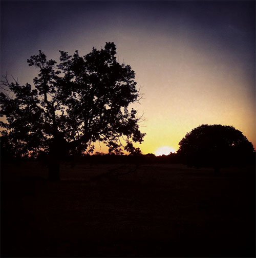 instagram_escuadro_palominico