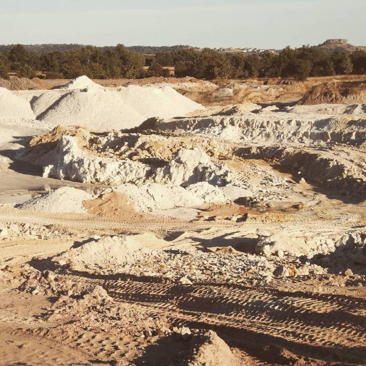 12237572_1520522701596135_336652872_n