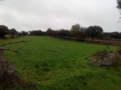 villardiegua_angelarabano_prao