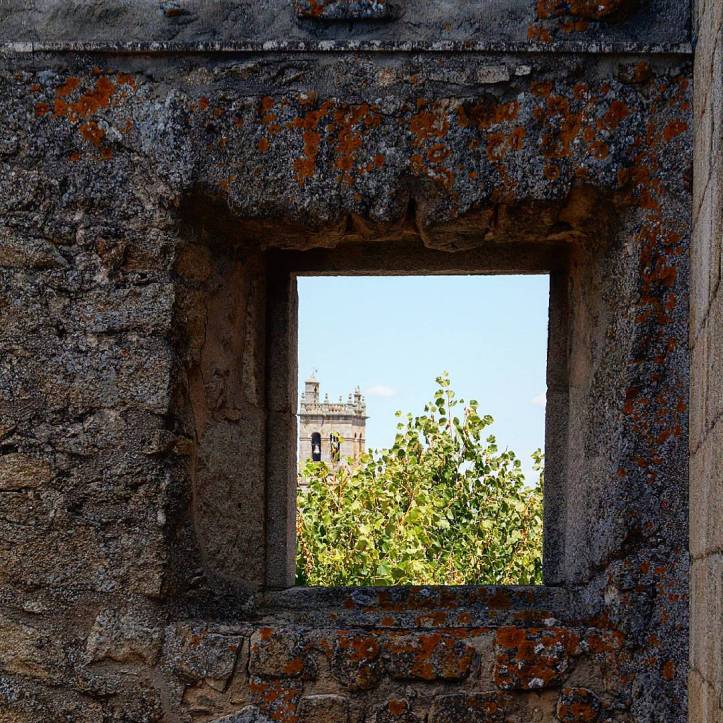 12256605_447260152134507_1064814254_n