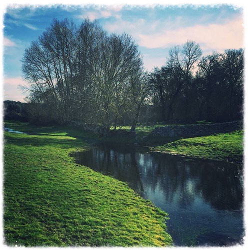 argañin_lindetorregamones_insta_alfonsocarrascal