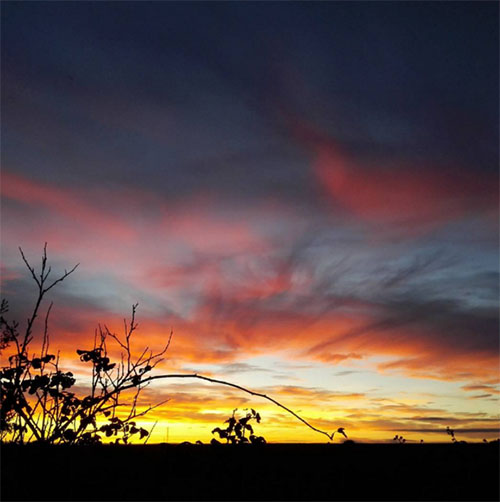 0almeida_atardeceder_insta_sandrapmelado