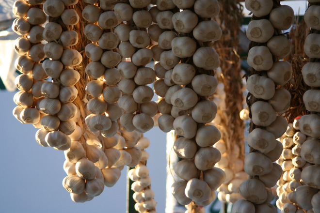 garlic-in-the-market-1562274