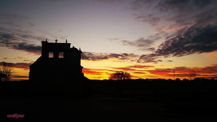 salce_atarceder_coralmoralejo