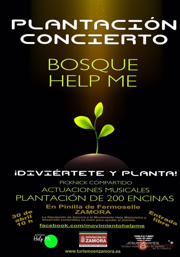 plantacion-concierto-bosque-help-me-jesus-yanes-zamora