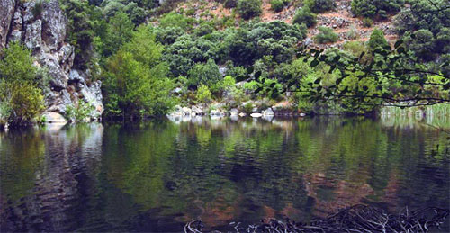 0insta_fermoselle_playadecordero_ivanseco