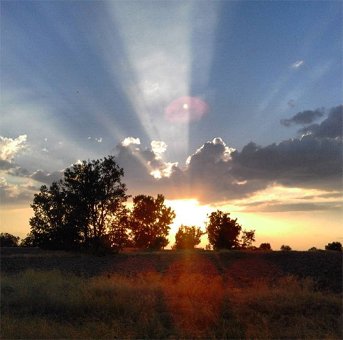 009_instagram_fresno_atardecer_garrotealicia