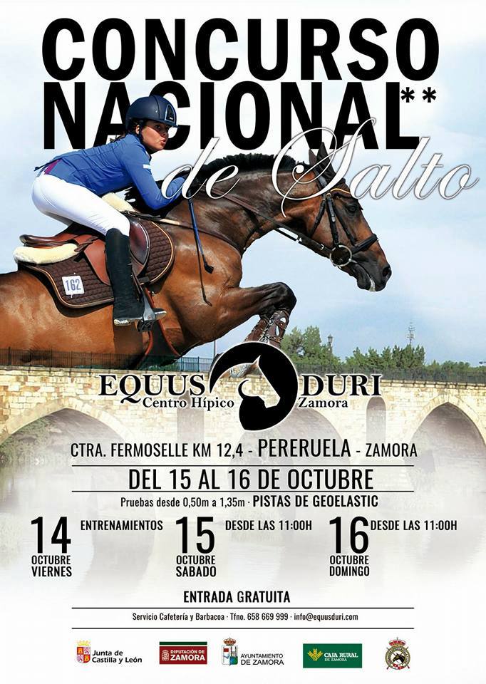 pereruela_equusdurii