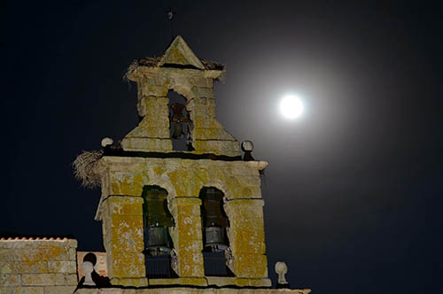 almeida_espadana_sarapanero