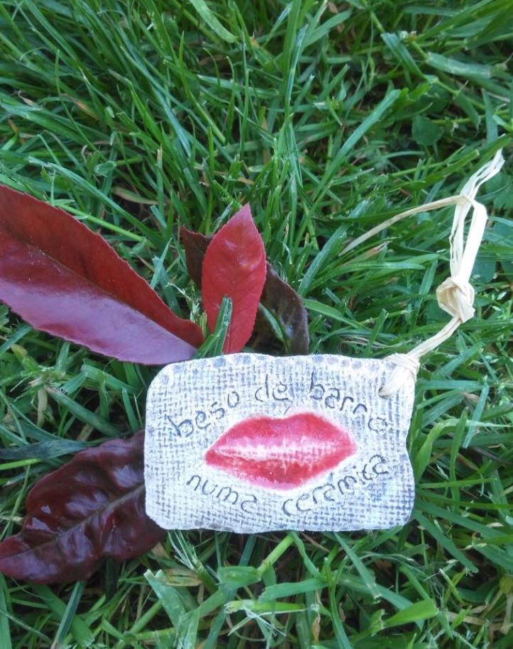 15697909_700014216842780_8378841177791947653_n