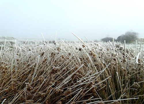 estipicaza_instagramc