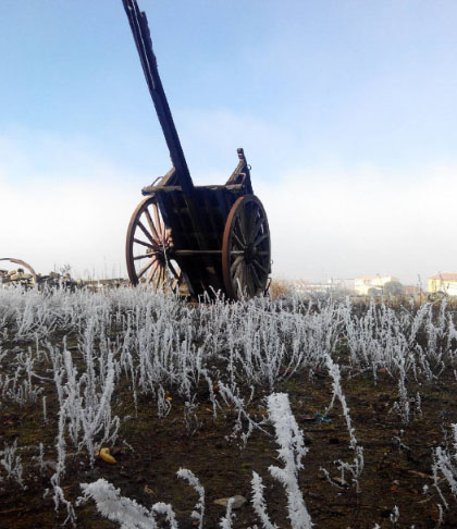 sayagohelado_marinis