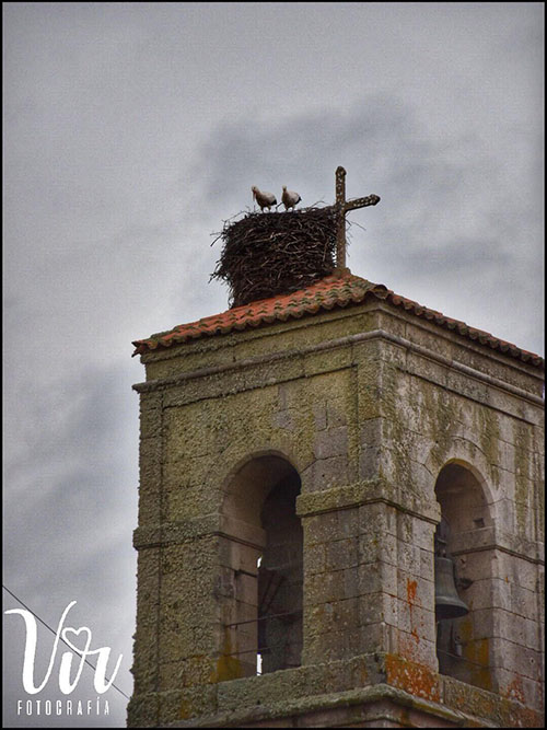 bermillo_sanblas_virvvir