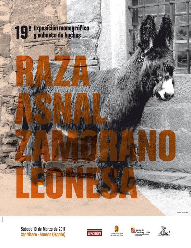 16938714_653937001445333_231163007288319529_n