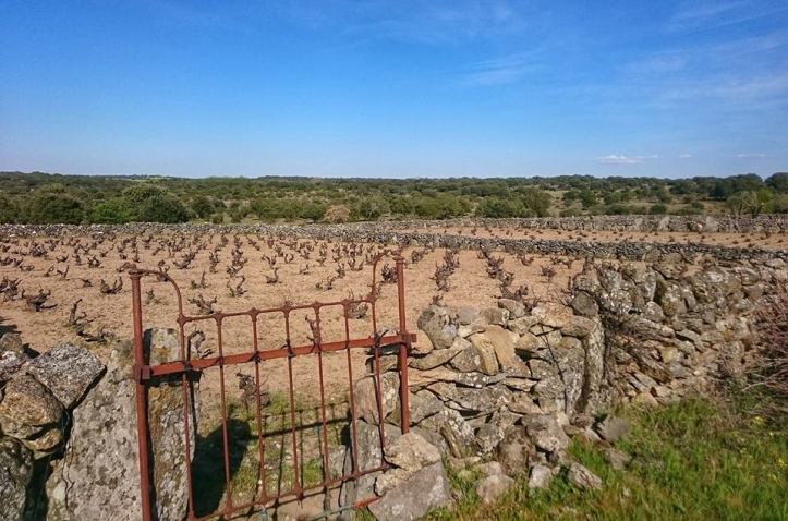 17862731_1812464475637568_2027425290373799763_n