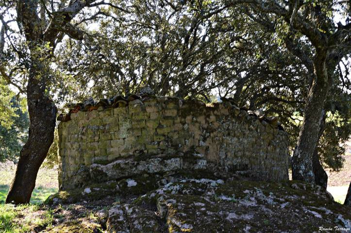 18012991_1602882629725457_1466959459_o