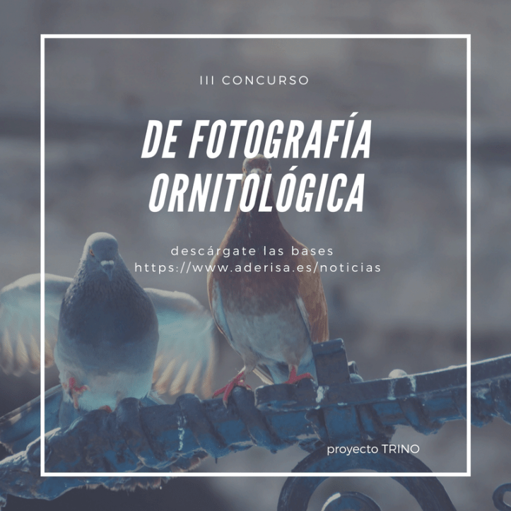 18699951_1721384948159278_6471171209812301999_n