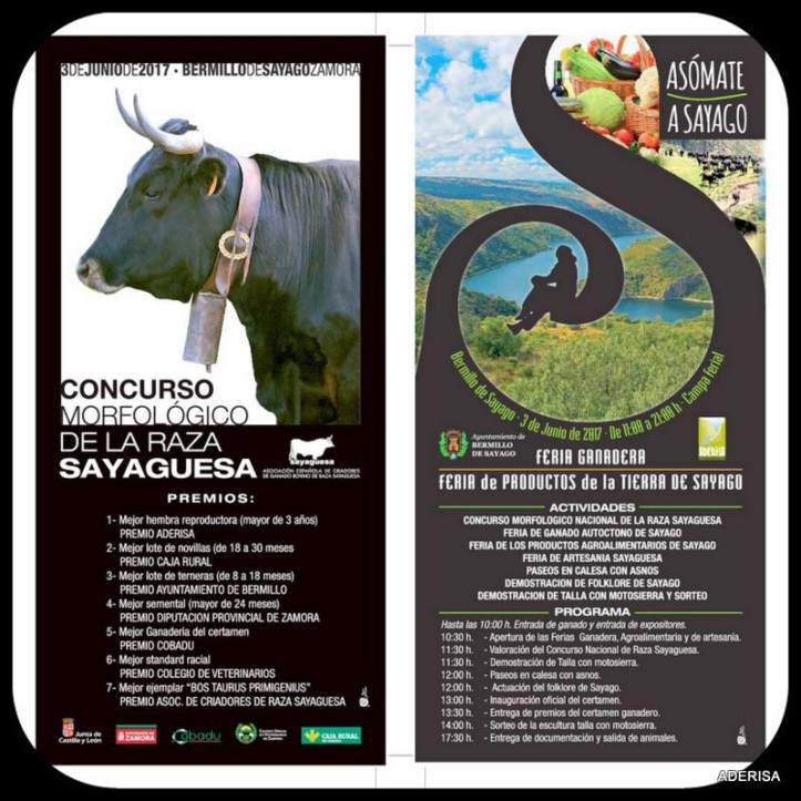 18814367_1724714844492955_5394460075725737876_n