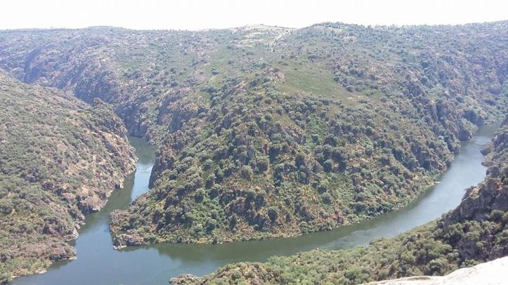 18920346_10203758558840160_4154337132266744232_n