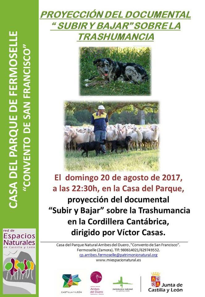 20800110_1608343669200506_6446859672767678436_n