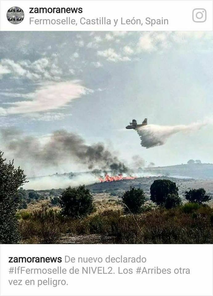 21230985_10213676227876420_4844913703194762483_n