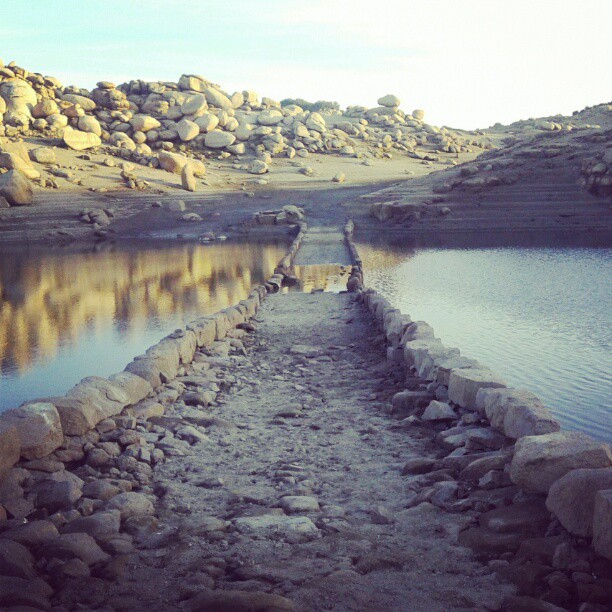 11199386_1594328434185679_197820925_n